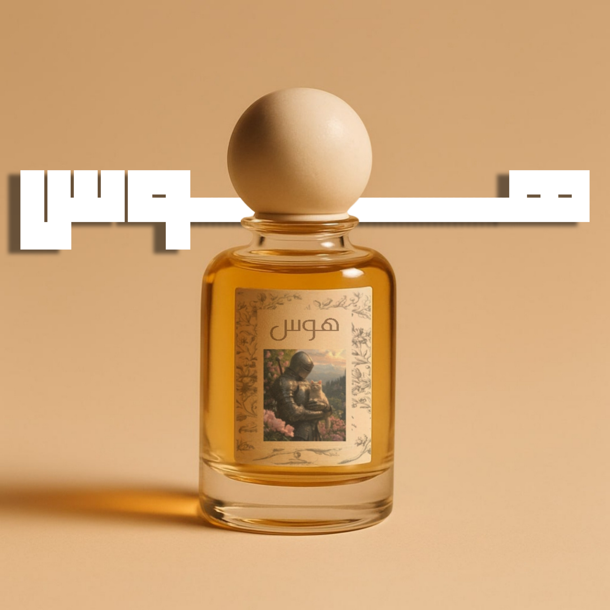 هَوَس