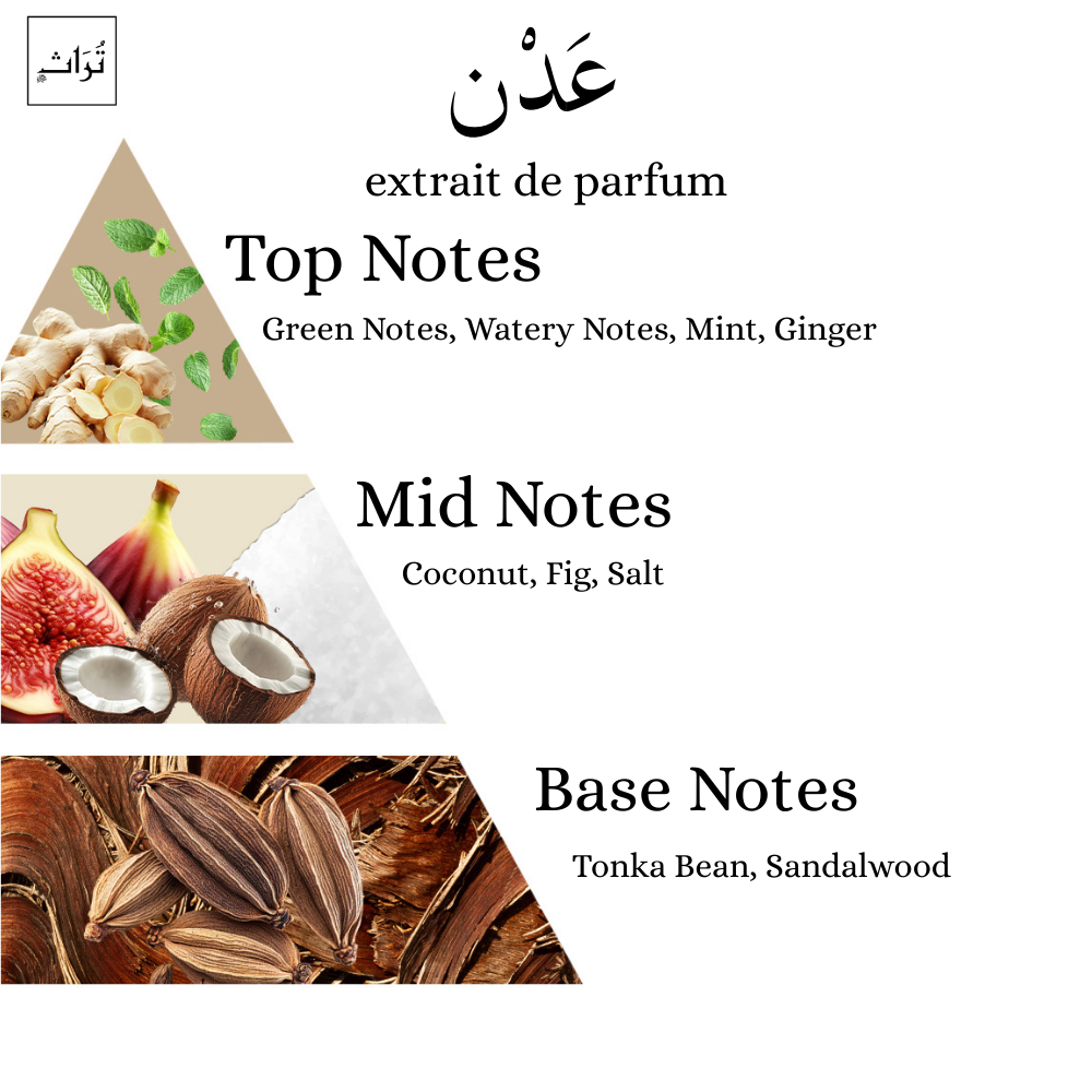 عَدْنٍ